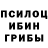 Псилоцибиновые грибы прущие грибы Nygma St