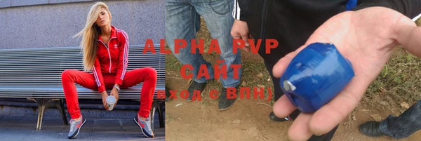 ПСИЛОЦИБИНОВЫЕ ГРИБЫ Новозыбков