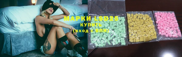 ПСИЛОЦИБИНОВЫЕ ГРИБЫ Новозыбков