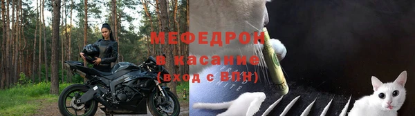 гашик Новодвинск