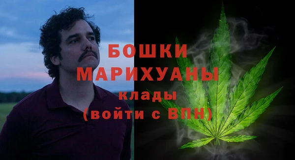 ПСИЛОЦИБИНОВЫЕ ГРИБЫ Новозыбков