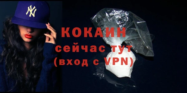 ПСИЛОЦИБИНОВЫЕ ГРИБЫ Новозыбков