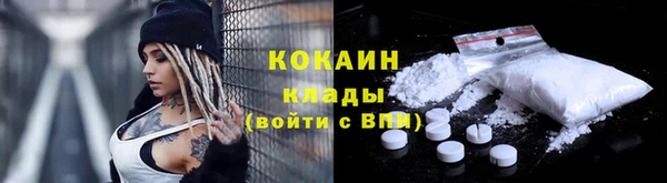 ПСИЛОЦИБИНОВЫЕ ГРИБЫ Новозыбков