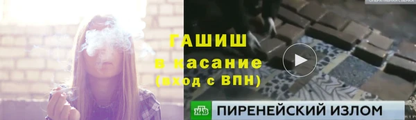 ПСИЛОЦИБИНОВЫЕ ГРИБЫ Новозыбков