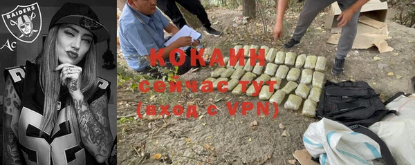 гашик Новодвинск