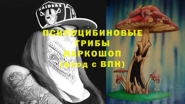 ПСИЛОЦИБИНОВЫЕ ГРИБЫ Новозыбков