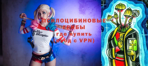 ПСИЛОЦИБИНОВЫЕ ГРИБЫ Новозыбков
