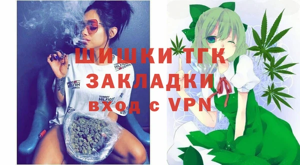 гашик Новодвинск