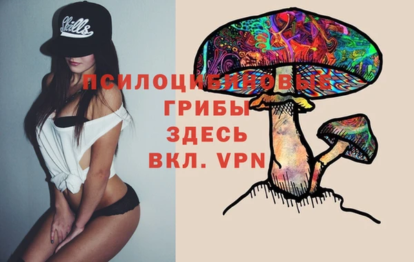 молекула духа Нефтегорск