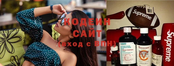 ПСИЛОЦИБИНОВЫЕ ГРИБЫ Новозыбков