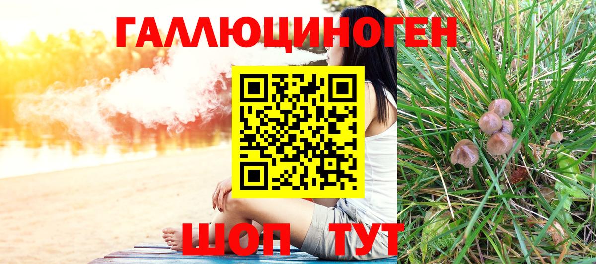 Псилоцибиновые грибы Psilocybine cubensis  Галлюциногенные грибы Cubensis  Менделеевск 