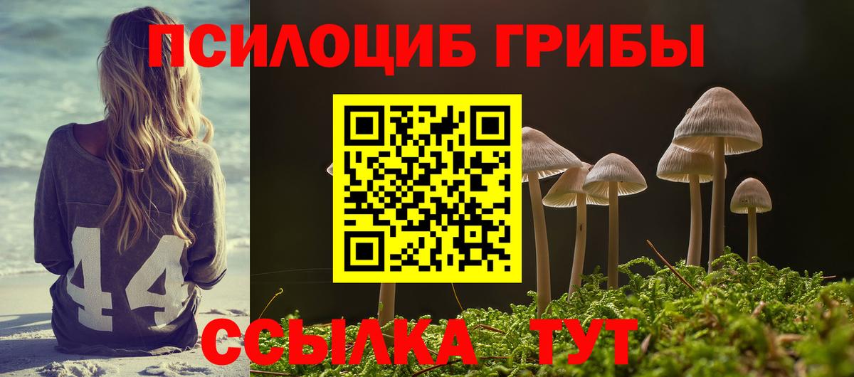 Псилоцибиновые грибы мухоморы  наркота  Менделеевск  Вход с VPN 