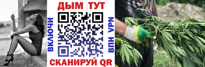 Бошки Шишки семена Менделеевск